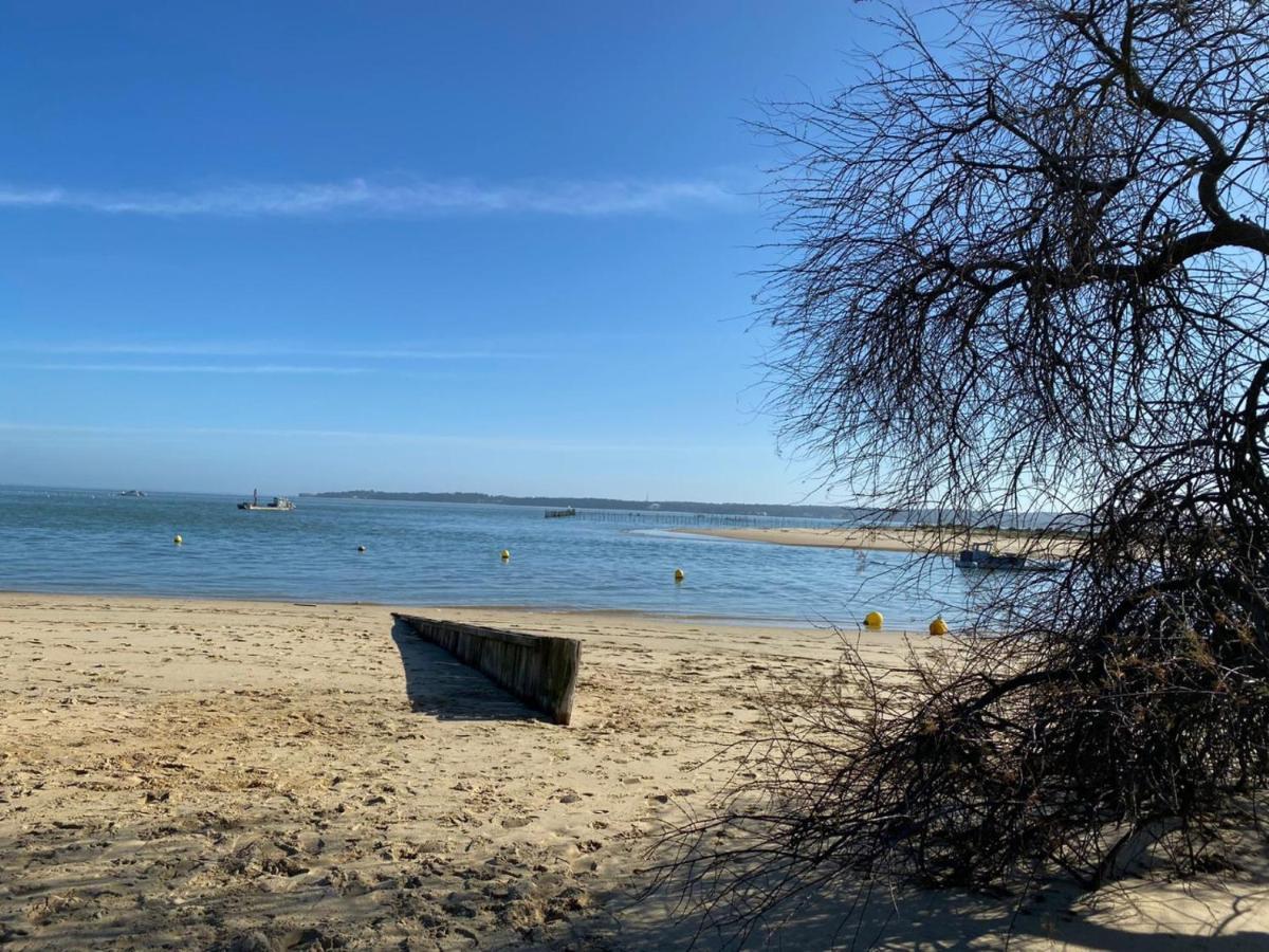 Appartement Cosy Village De L'Herbe Lège-Cap-Ferret Eksteriør billede